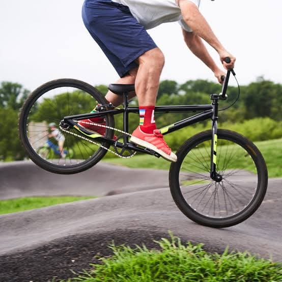Vektor Trailblazer Action BMX Bike