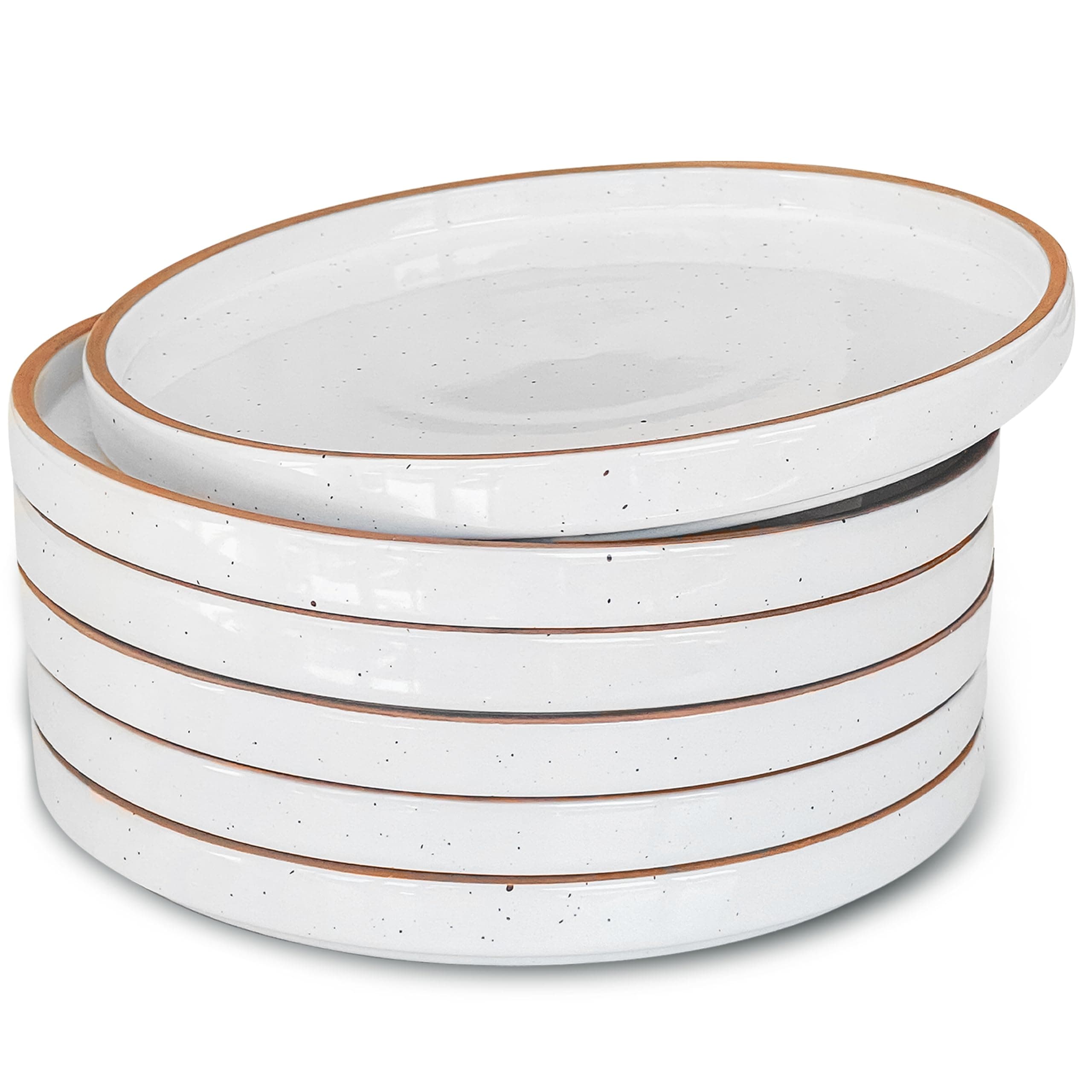 Handmade Speckled Ceramic Dinner Plates (Set of 6)
